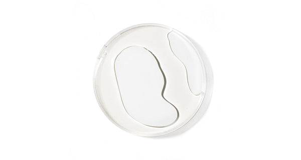 Ascophyllum ingredient