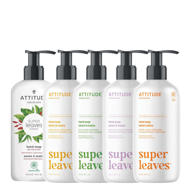 5 Liquid Hand Soaps bundle : super leaves™
